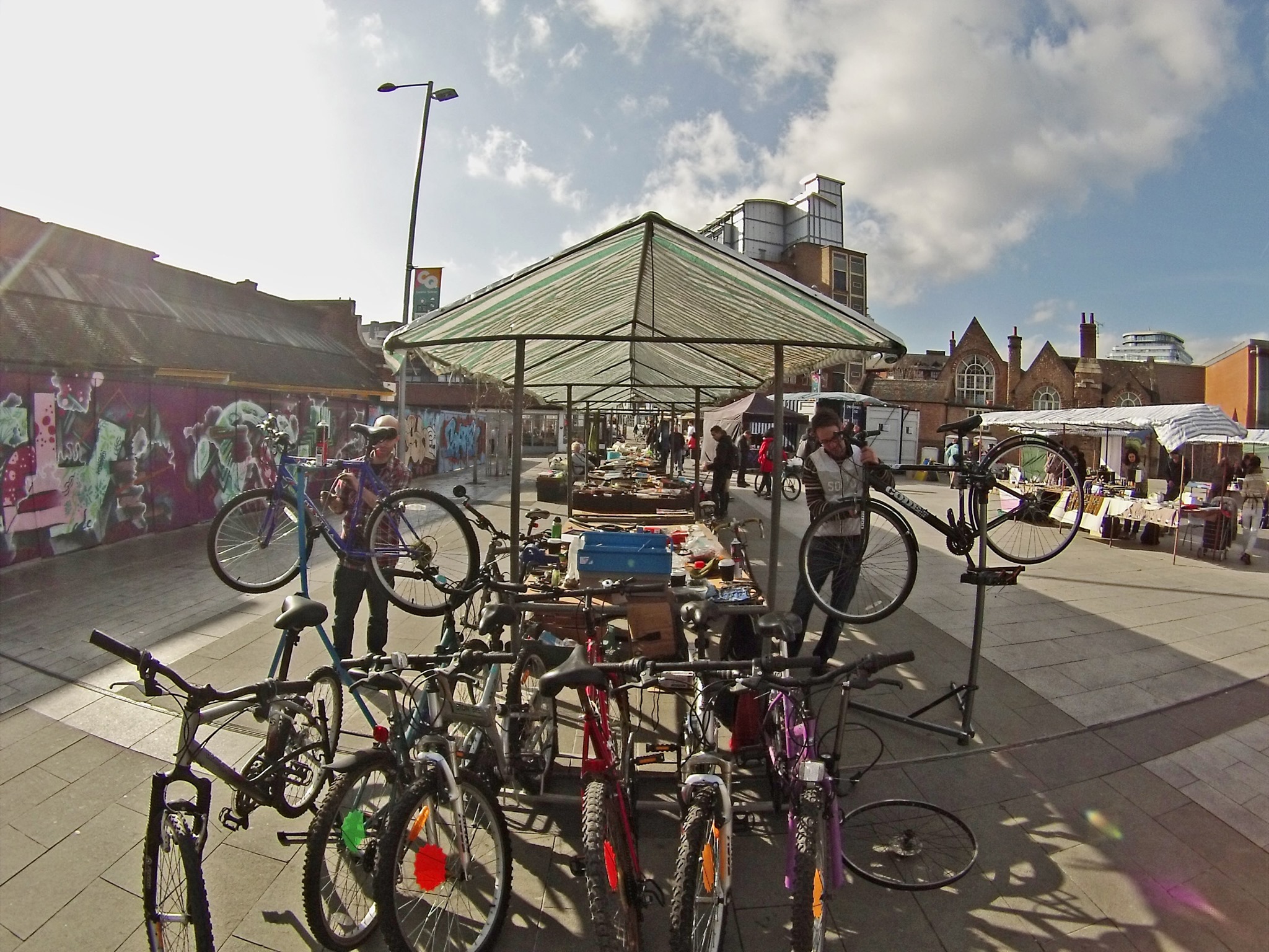 Why Bikes – Really?